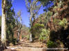 Flinders Ranges - Sacred Canyon